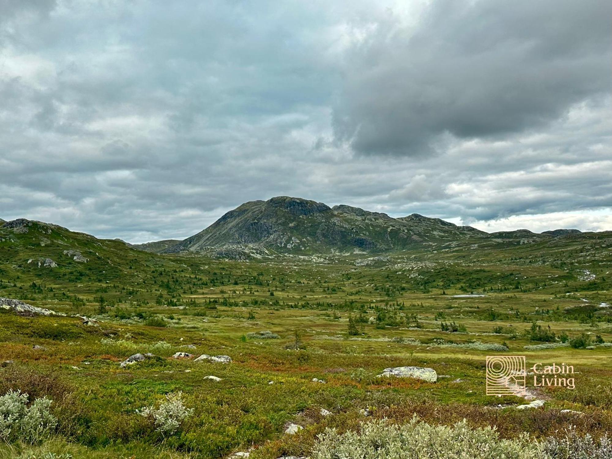 Brand New Cabin On The Sunny Side Of Gaustatoppen With A Great View Tuddal Екстер'єр фото