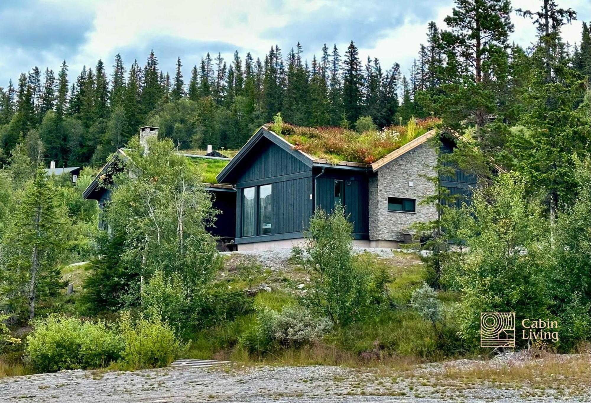 Brand New Cabin On The Sunny Side Of Gaustatoppen With A Great View Tuddal Екстер'єр фото